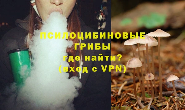 экстази Кулебаки