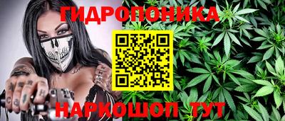 PSILOCYBIN Канаш