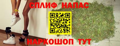 молекула духа Кандалакша