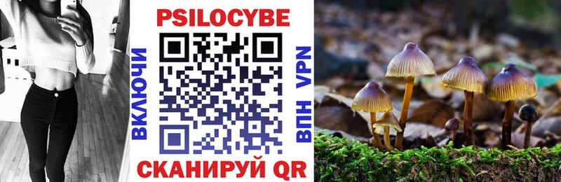 Галлюциногенные грибы GOLDEN TEACHER  Оренбург 