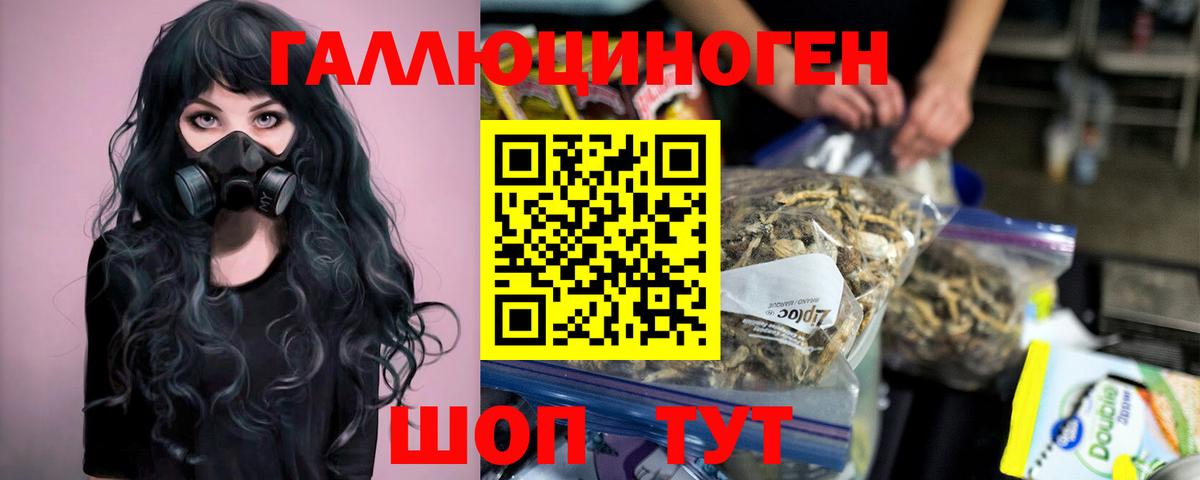 Оренбург  Псилоцибиновые грибы GOLDEN TEACHER  Вход с VPN 